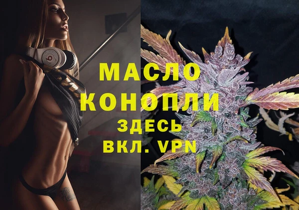 шишки Гусиноозёрск