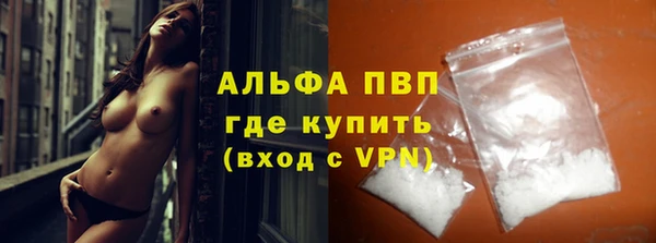 шишки Гусиноозёрск