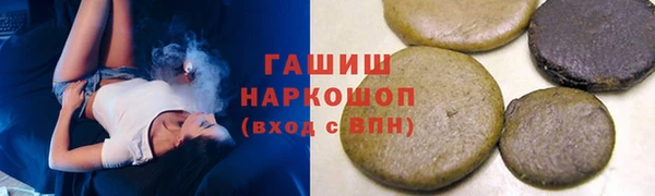 шишки Гусиноозёрск