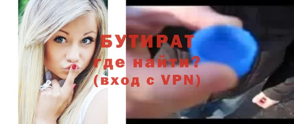 шишки Гусиноозёрск