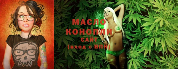 шишки Гусиноозёрск