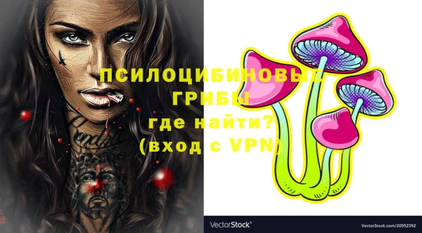 прущие крисы Гусев