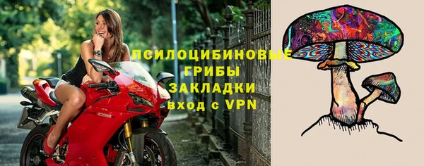 шишки Нягань