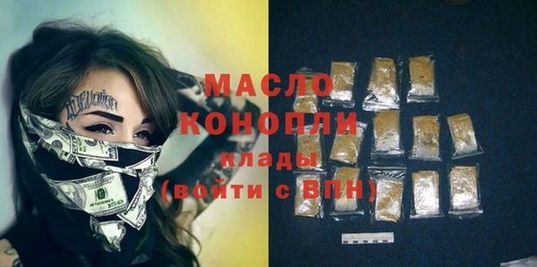 шишки Гусиноозёрск