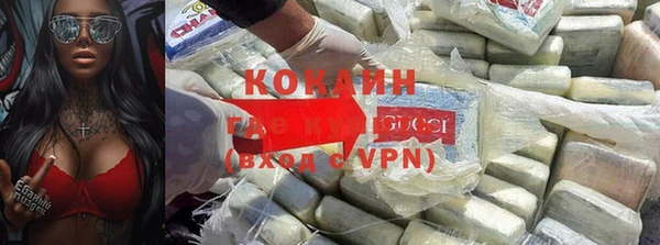 шишки Гусиноозёрск
