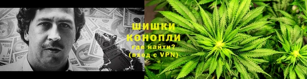 шишки Гусиноозёрск