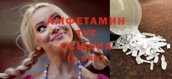 шишки Гусиноозёрск