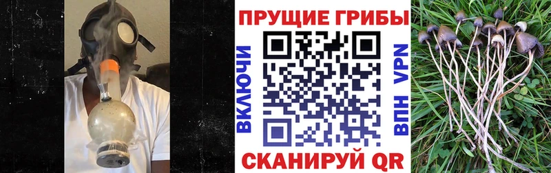 Галлюциногенные грибы MAGIC MUSHROOMS  Окуловка 